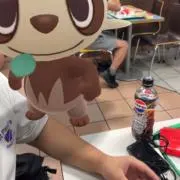 Hashiの画像