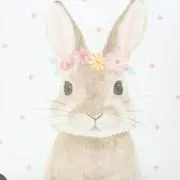 キキの画像