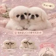 こまぽぽの画像
