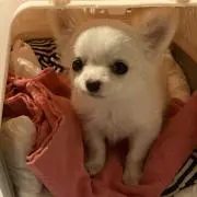 みゅたん