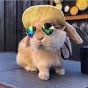 タッちゃん