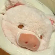 Tの画像