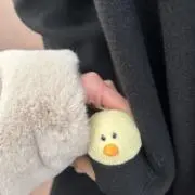 蜜柑の画像