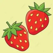 教科書の画像