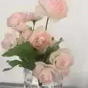 フルーリールの画像