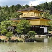 kanariaの画像