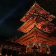 Sunny lifeの画像