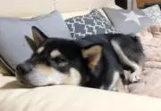 ゆうなの画像