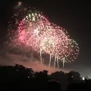 花菱の画像