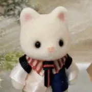 ぴのこの画像