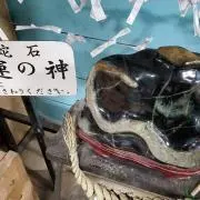 カノンの画像