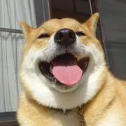 りおた
