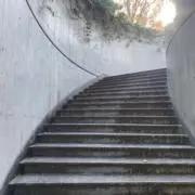 Kenの画像