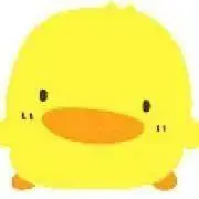 ぴぴ