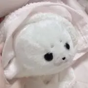 ほしの画像