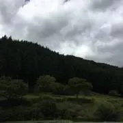 しぇあるの画像