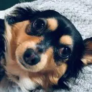 natsuの画像