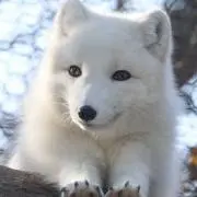 Soの画像