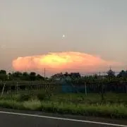 ルーク