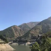 ｈａｒｕの画像