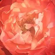 ちょろ♡の画像