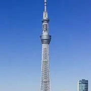 さぁちゃまの画像