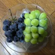 マスカッツの画像