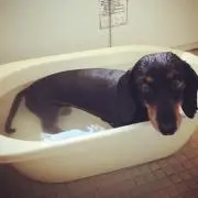 リナリナ