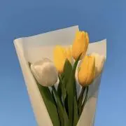 Yuの画像