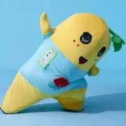 モチゴメ