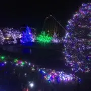 SLの画像
