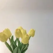 ななの画像