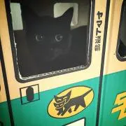クロネコ宅急便(只今停止中です)