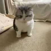 たけ