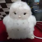 べティー