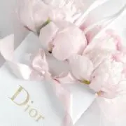 Luluの画像