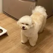 yugaの画像