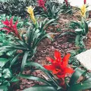 断捨離中♡の画像