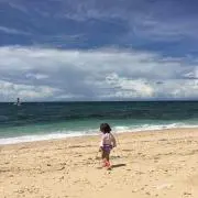 みにーちゃんの画像