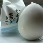 カモメの卵の長