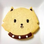 藤井の画像