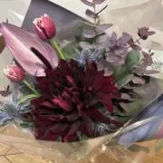 bbbの画像