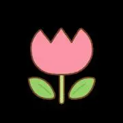 ピンクチューリップの画像