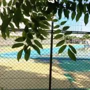 FIRの画像