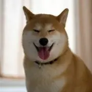 ぽん酢◎