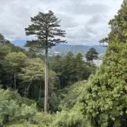 Yoshiの画像
