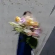 nの画像