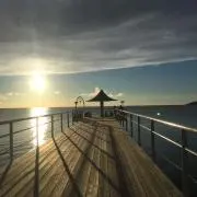 Hana✿の画像