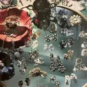 アクアの画像