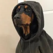 RIAの画像